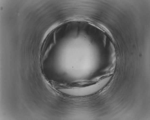 X0000065251146200603031757