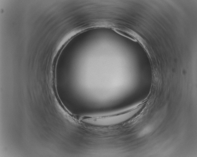 X0000065251147200603031757