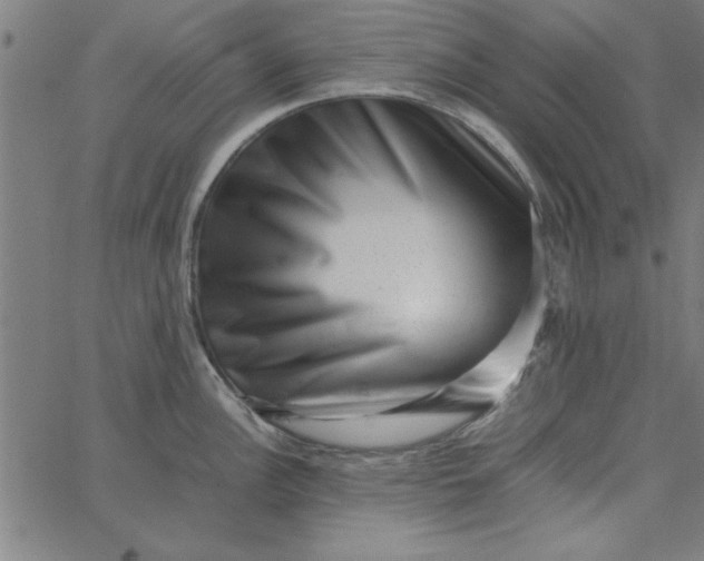 X0000065251148200603031757