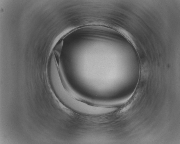 X0000065251149200603031757