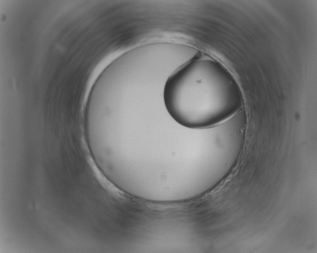 X0000065251152200603031757