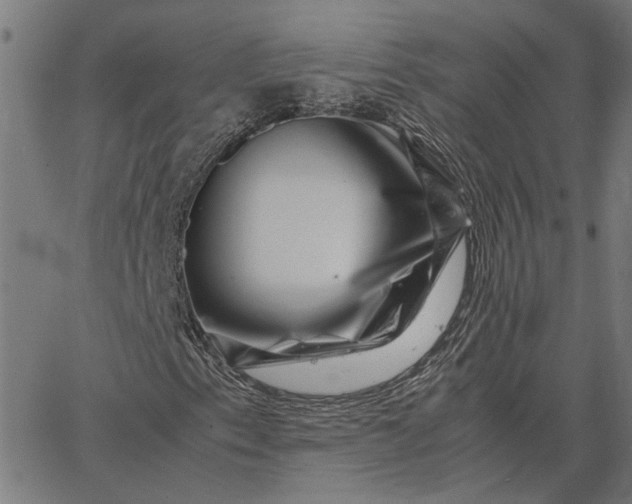 X0000065251153200603031756