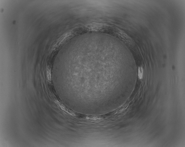 X0000065251155200603031756