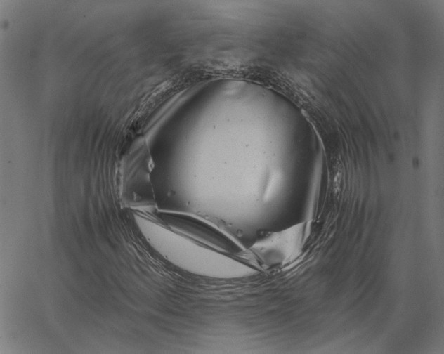 X0000065251156200603031756