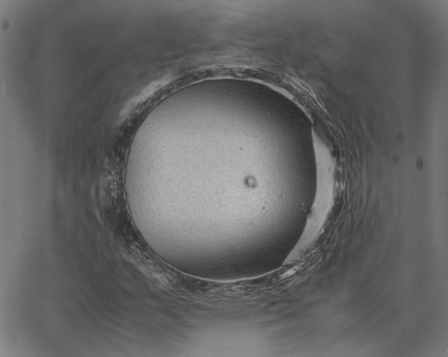 X0000065251159200603031756