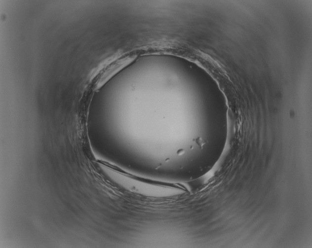 X0000065251160200603031756