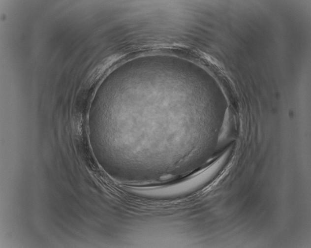 X0000065251161200603031756