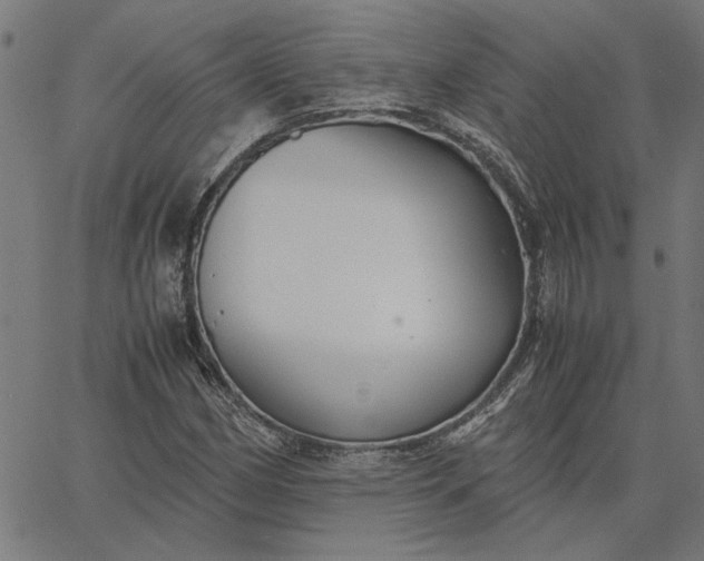 X0000065251162200603031756