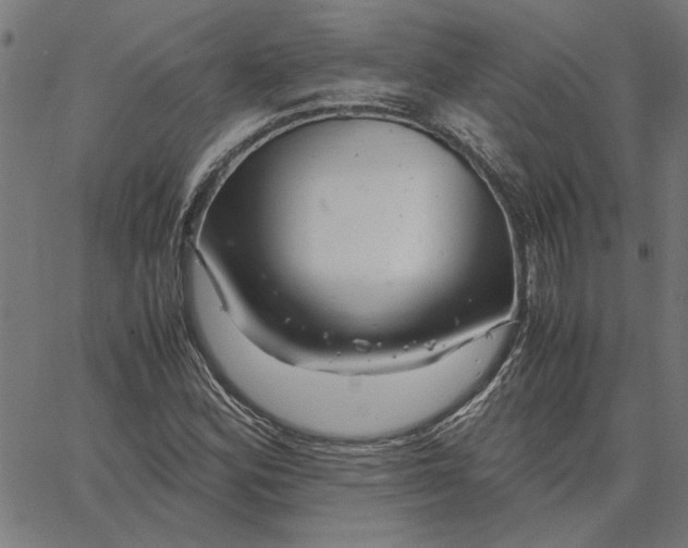 X0000065251164200603031756