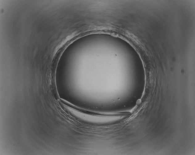 X0000065251165200603031756