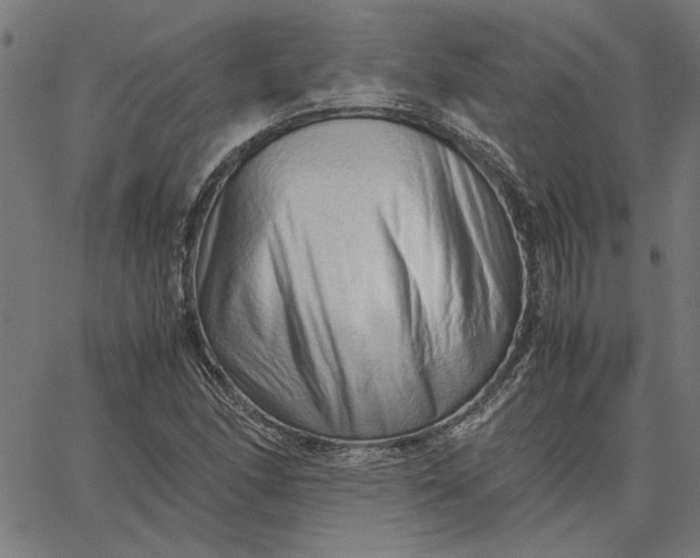 X0000065251166200603031756