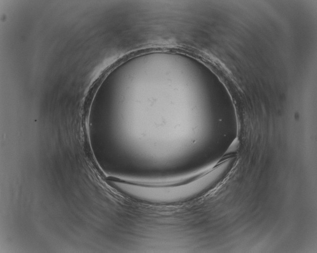 X0000065251168200603031756