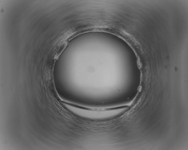 X0000065251169200603031756