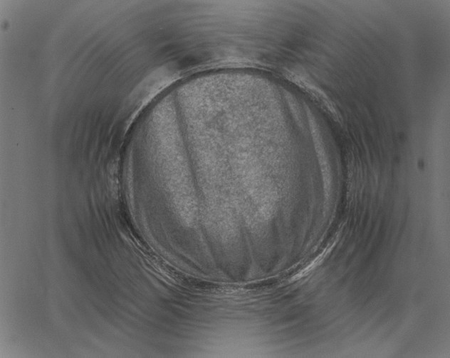 X0000065251170200603031756