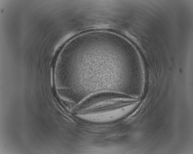 X0000065251171200603031756