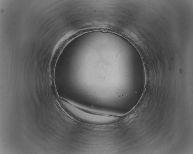 X0000065251172200603031756