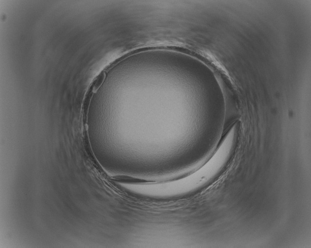 X0000065251173200603031756