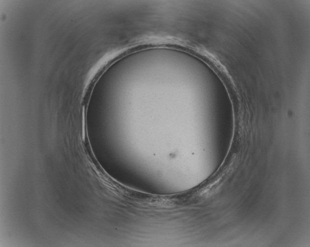 X0000065251175200603031756