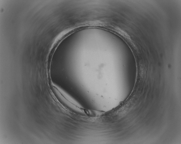 X0000065251176200603031756