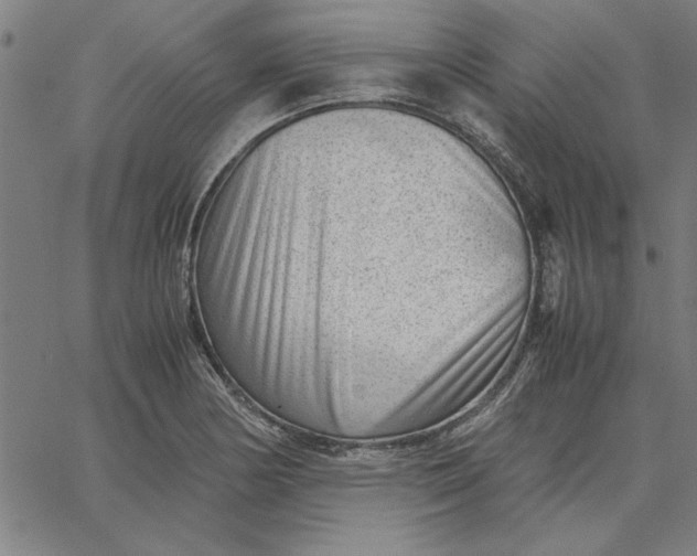 X0000065251178200603031756