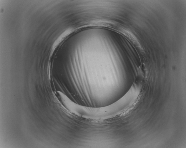 X0000065251180200603031756