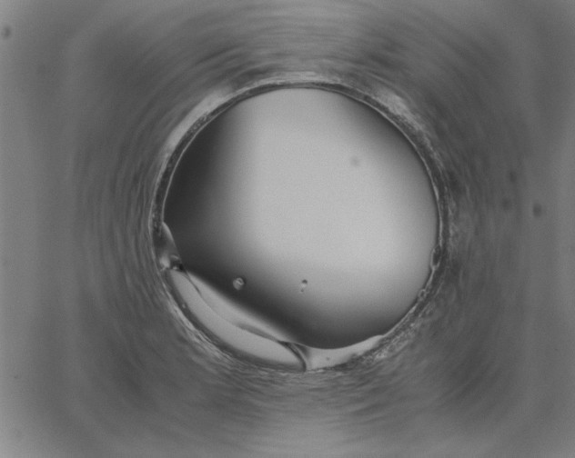 X0000065251181200603031756