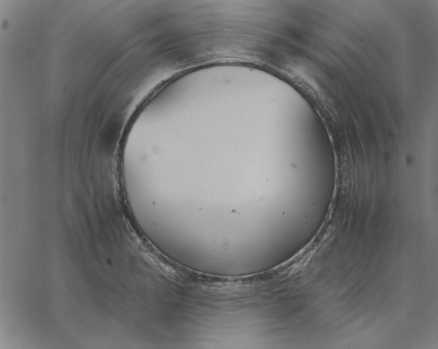 X0000065251182200603031756