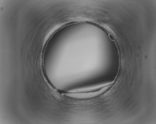 X0000065251183200603031756