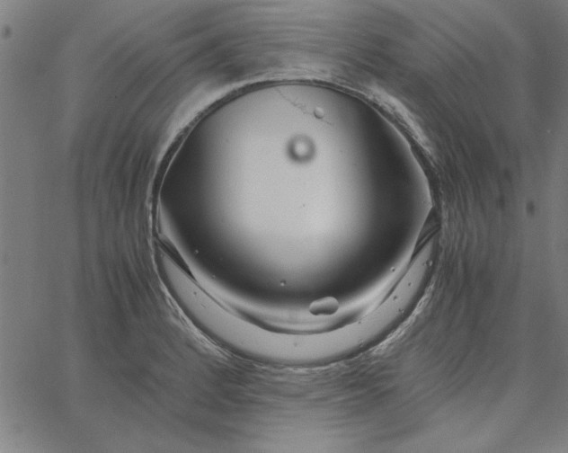 X0000065251184200603031756