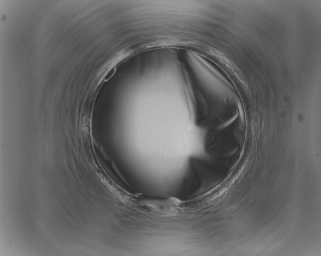 X0000065251185200603031756