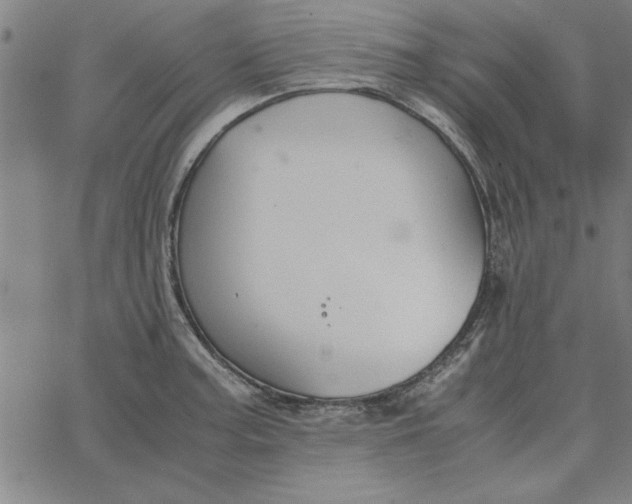 X0000065251187200603031756