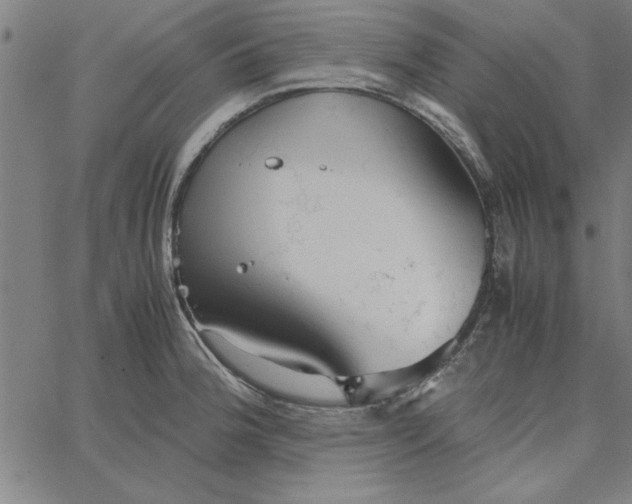 X0000065251188200603031756