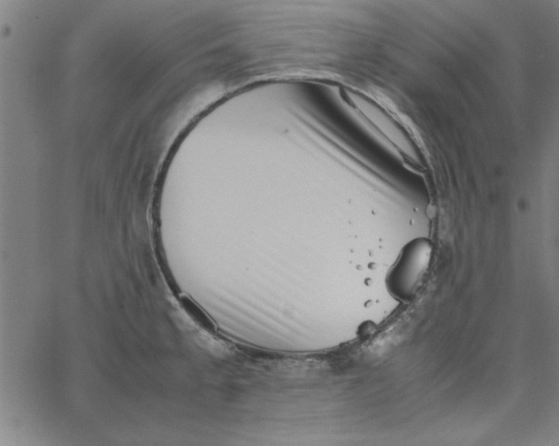 X0000065251189200603031756