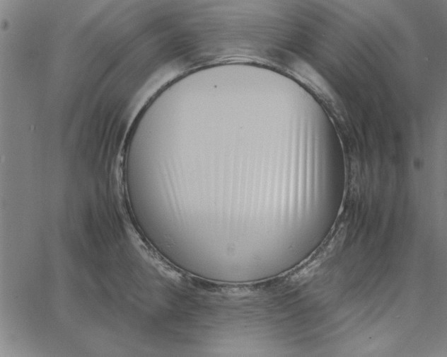 X0000065251190200603031756