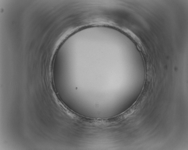 X0000065251191200603031756