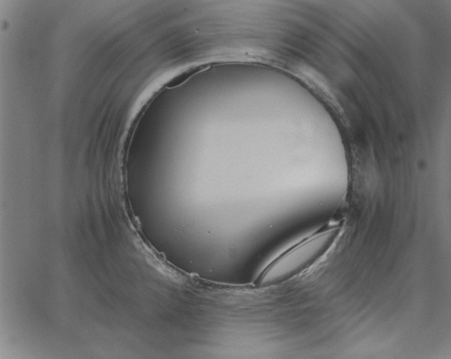 X0000065251192200603031756