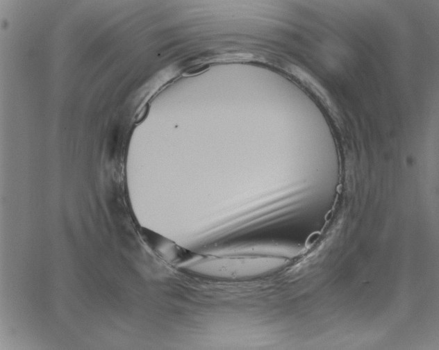 X0000065251193200603031756