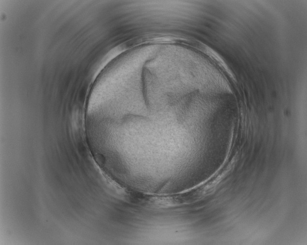 X0000065251194200603031756