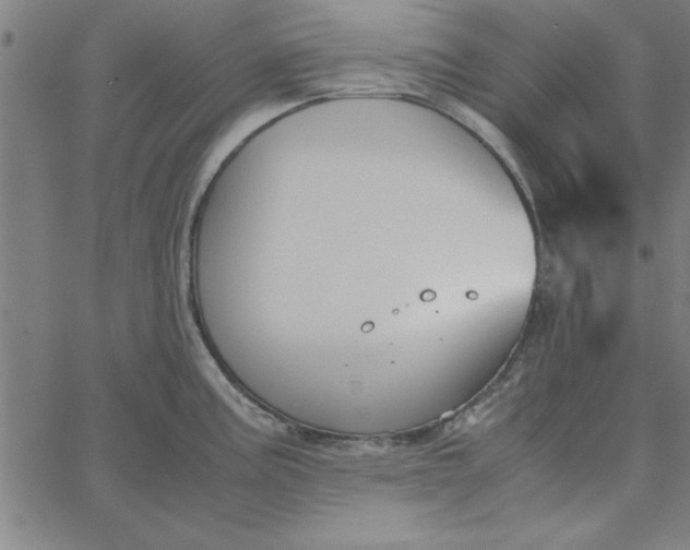 X0000065251195200603031756