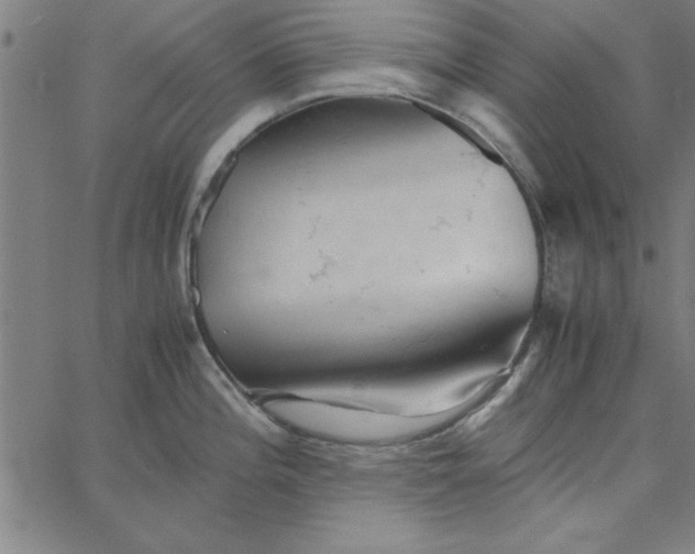 X0000065251196200603031756