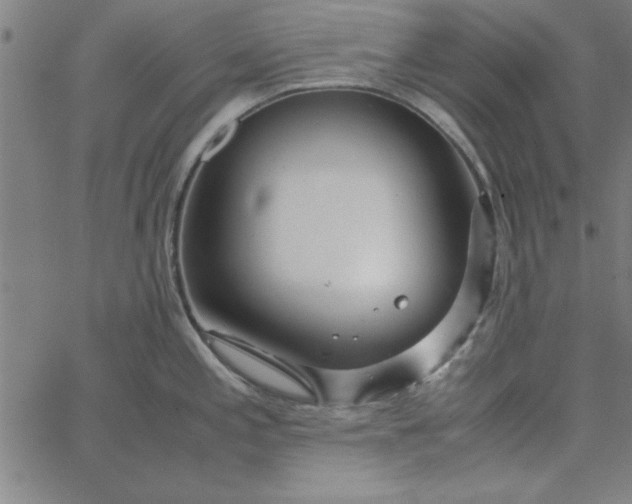 X0000065251197200603031756