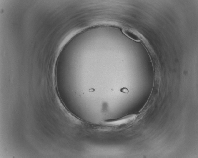 X0000065251199200603031756