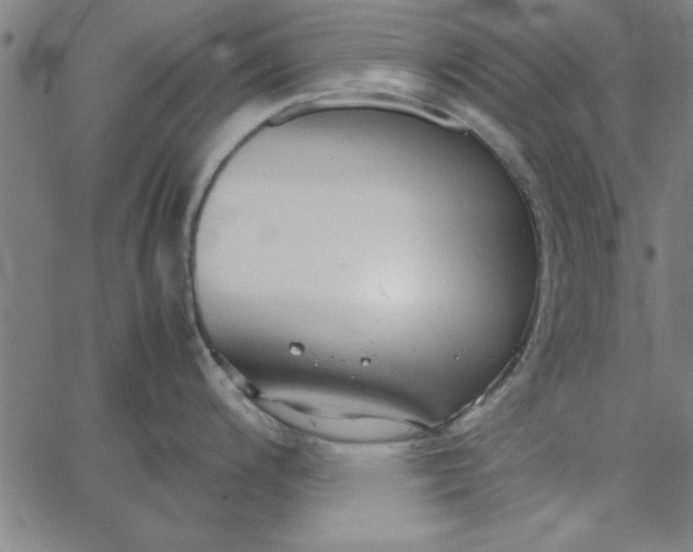 X0000065251200200603031756