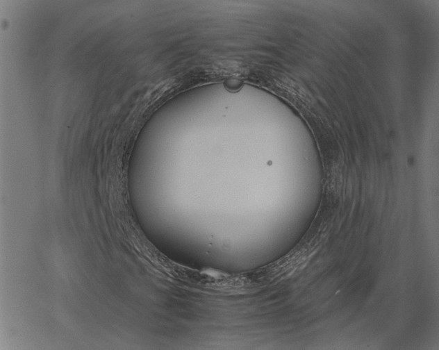 X0000065251201200603031755