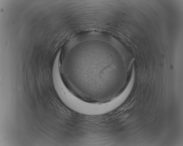 X0000065251202200603031755