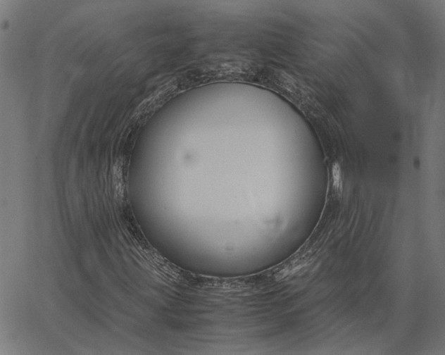 X0000065251203200603031755