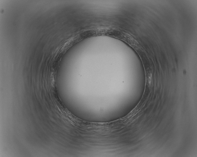 X0000065251204200603031755