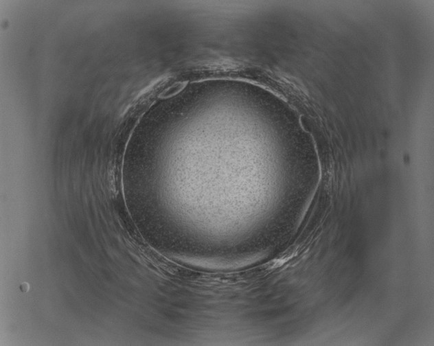 X0000065251205200603031755