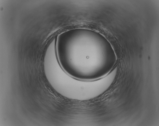 X0000065251206200603031755