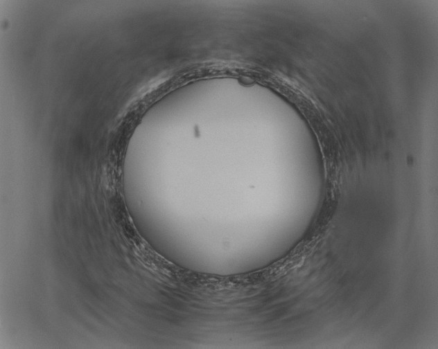 X0000065251207200603031755